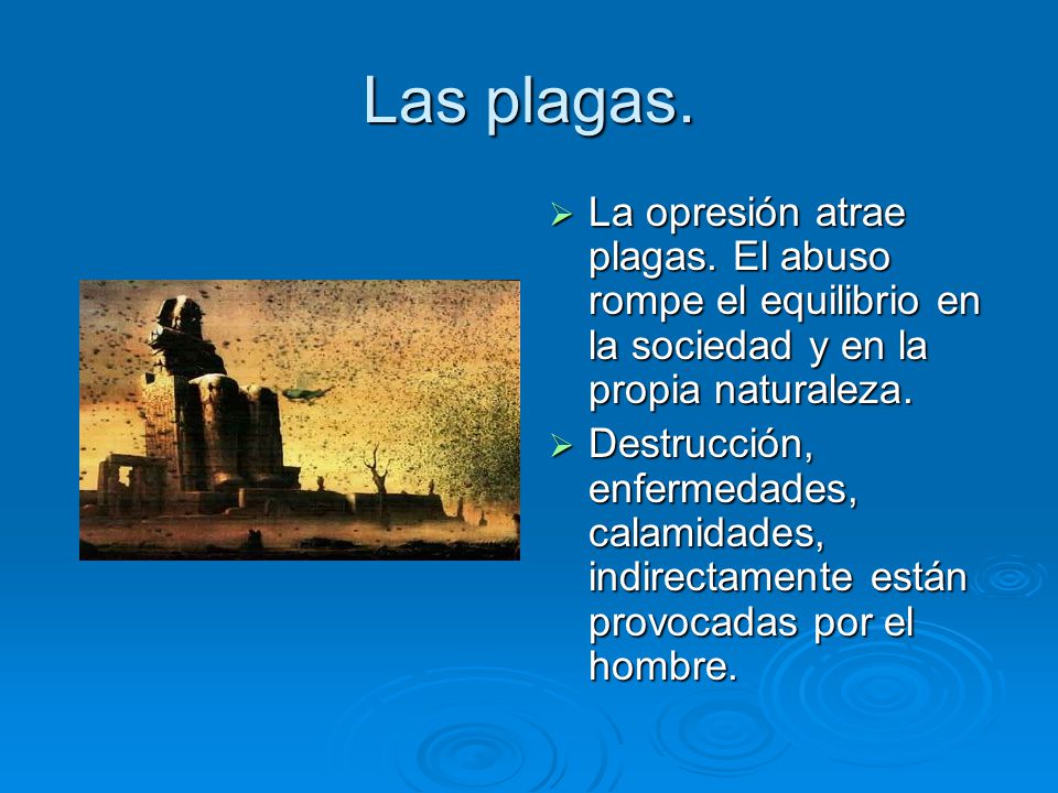 Las plagas. La opresión atrae plagas. El abuso rompe el equilibrio en la sociedad y en la propia naturaleza.