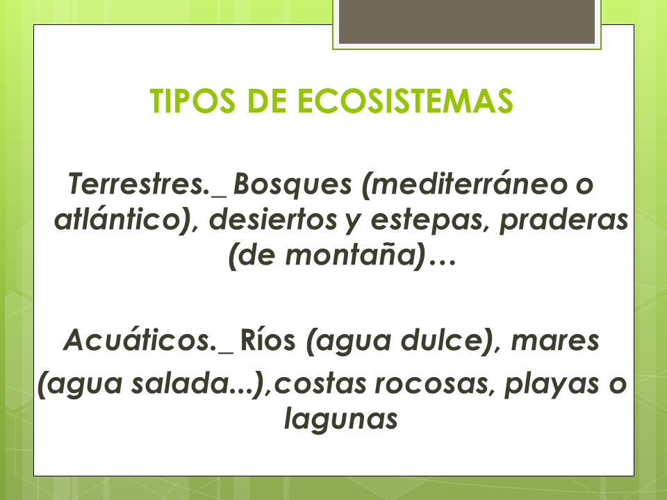 TIPOS DE ECOSISTEMAS Terrestres._ Bosques (mediterráneo o atlántico), desiertos y estepas, praderas (de montaña)…
