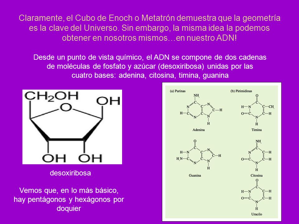 Claramente, el Cubo de Enoch o Metatrón demuestra que la geometría es la clave del Universo. Sin embargo, la misma idea la podemos obtener en nosotros mismos…en nuestro ADN!