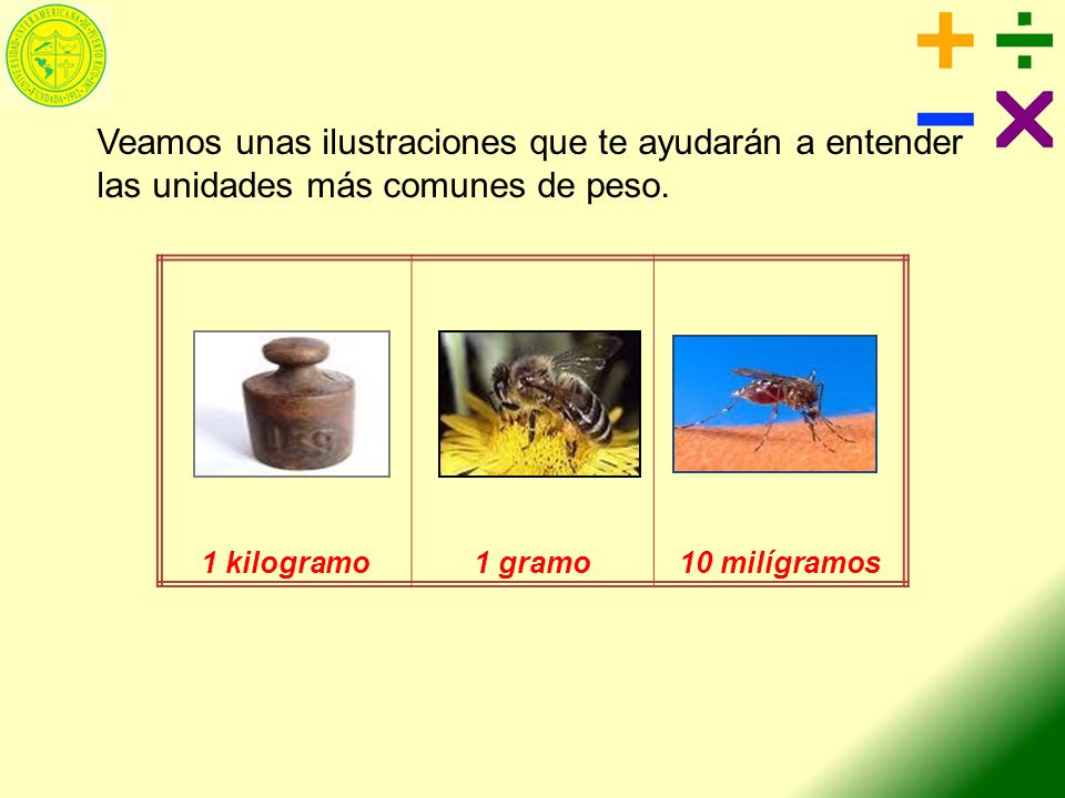Veamos unas ilustraciones que te ayudarán a entender las unidades más comunes de peso.