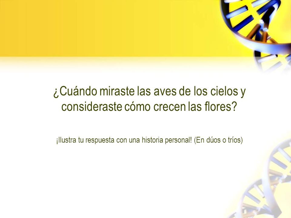 ¡Ilustra tu respuesta con una historia personal! (En dúos o tríos)