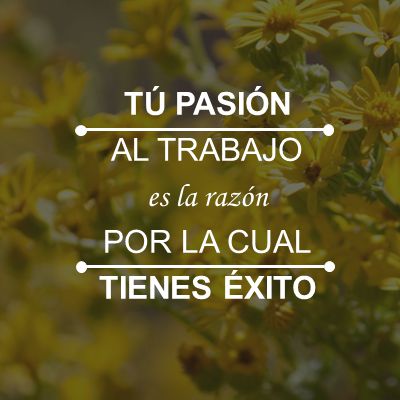 TÚ PASIÓN AL TRABAJO es la razón POR LA CUAL TIENES ÉXITO