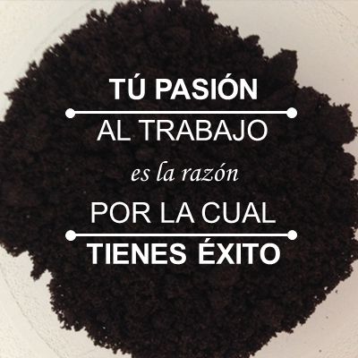 TÚ PASIÓN AL TRABAJO es la razón POR LA CUAL TIENES ÉXITO
