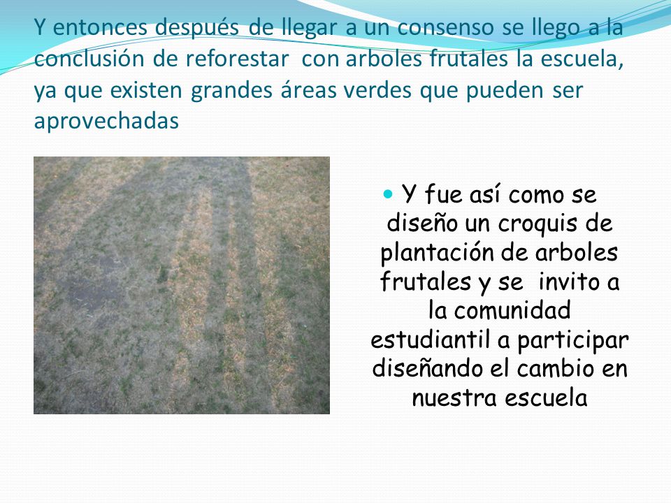 Y entonces después de llegar a un consenso se llego a la conclusión de reforestar con arboles frutales la escuela, ya que existen grandes áreas verdes que pueden ser aprovechadas