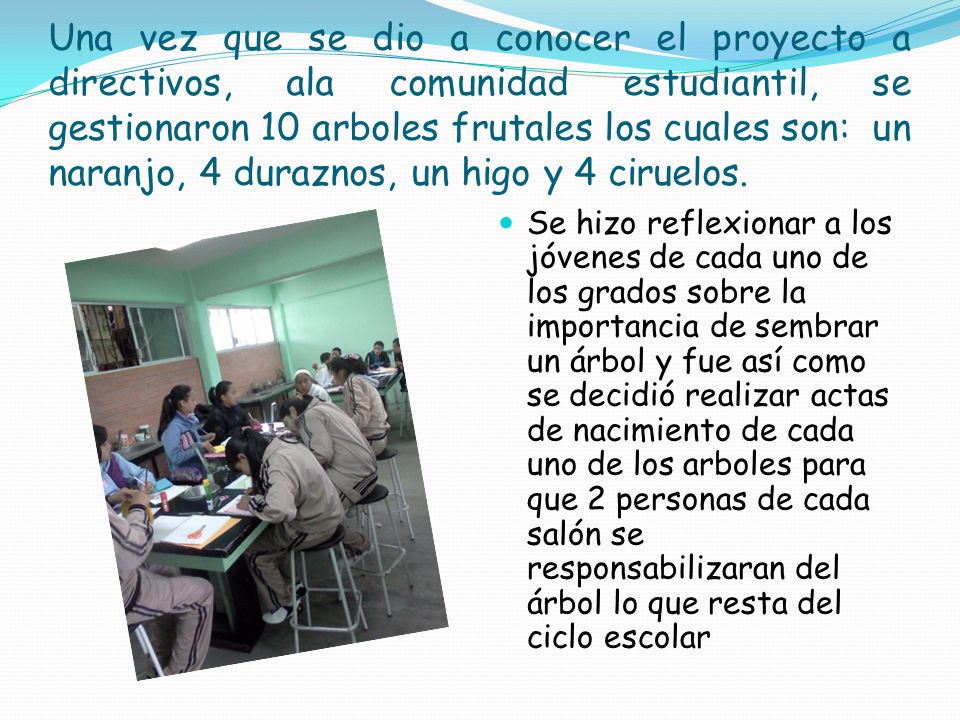 Una vez que se dio a conocer el proyecto a directivos, ala comunidad estudiantil, se gestionaron 10 arboles frutales los cuales son: un naranjo, 4 duraznos, un higo y 4 ciruelos.
