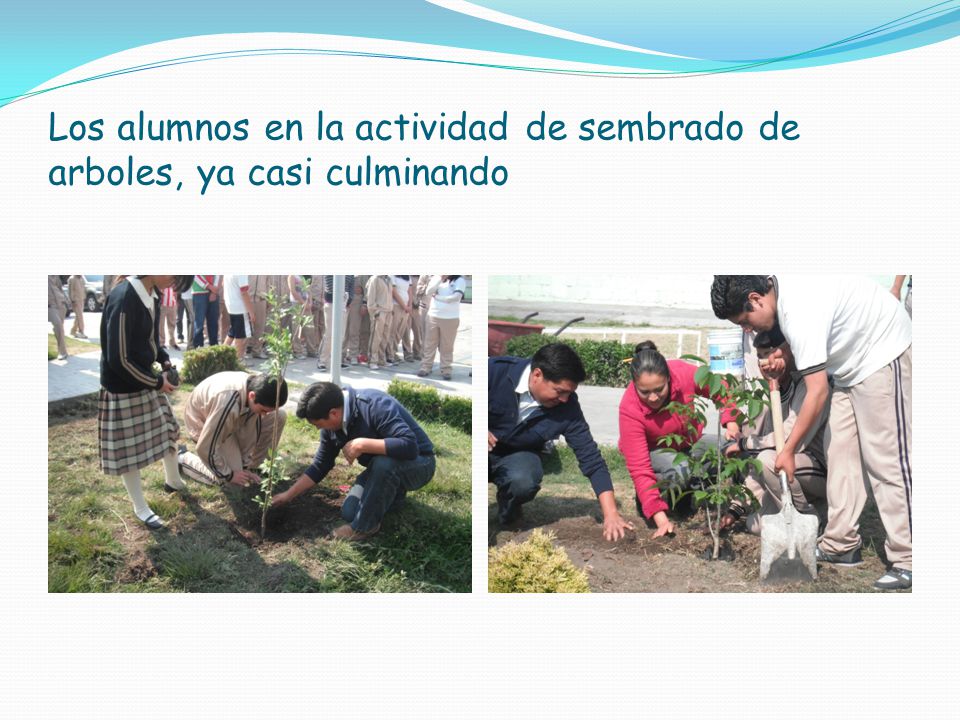 Los alumnos en la actividad de sembrado de arboles, ya casi culminando