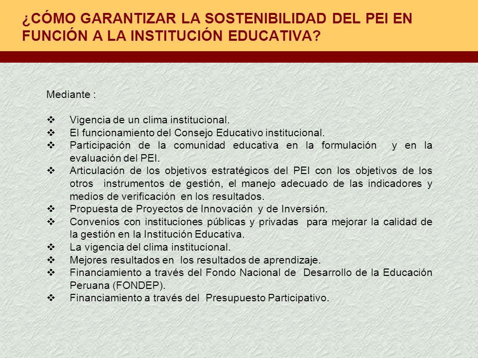 ¿CÓMO GARANTIZAR LA SOSTENIBILIDAD DEL PEI EN FUNCIÓN A LA INSTITUCIÓN EDUCATIVA