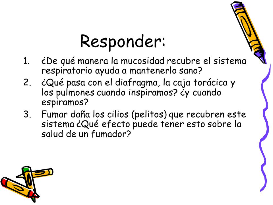 Responder: ¿De qué manera la mucosidad recubre el sistema respiratorio ayuda a mantenerlo sano