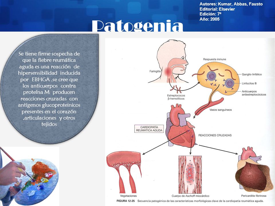 Autores: Kumar, Abbas, Fausto Editorial: Elsevier Edición: 7ª Año: 2005
