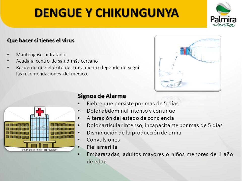 DENGUE Y CHIKUNGUNYA Signos de Alarma Que hacer si tienes el virus