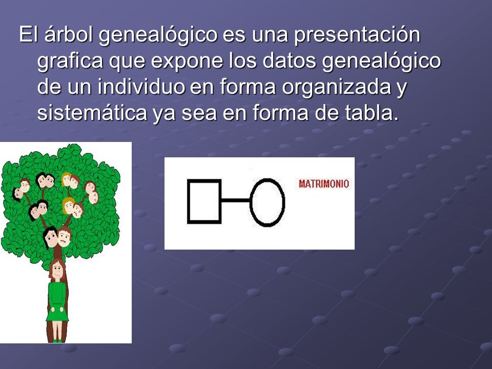 El árbol genealógico es una presentación grafica que expone los datos genealógico de un individuo en forma organizada y sistemática ya sea en forma de tabla.