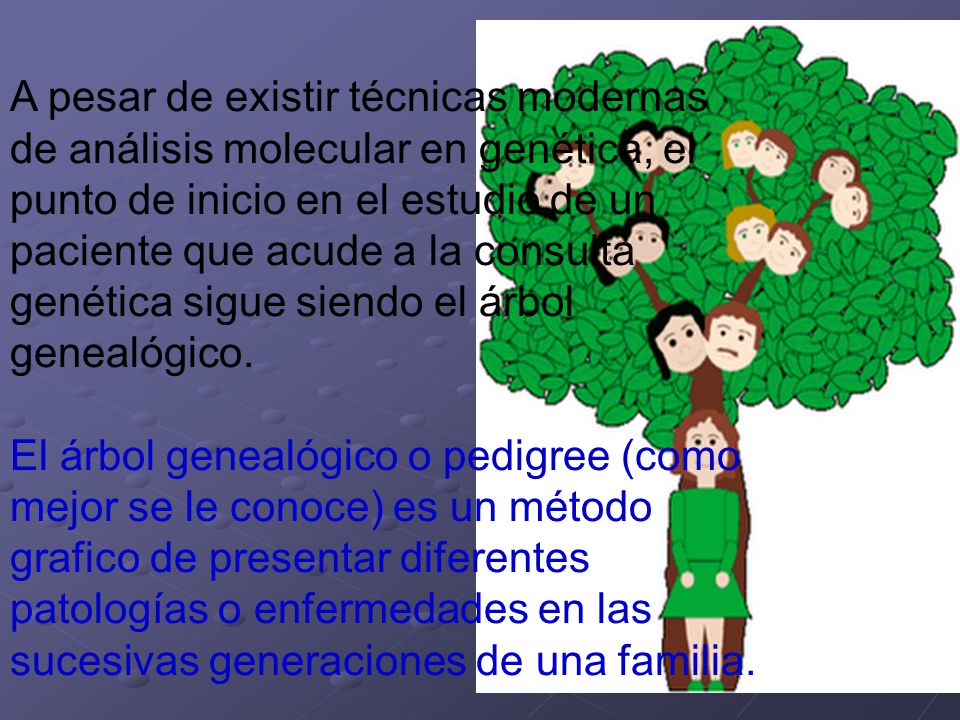 A pesar de existir técnicas modernas de análisis molecular en genética, el punto de inicio en el estudio de un paciente que acude a la consulta genética sigue siendo el árbol genealógico.