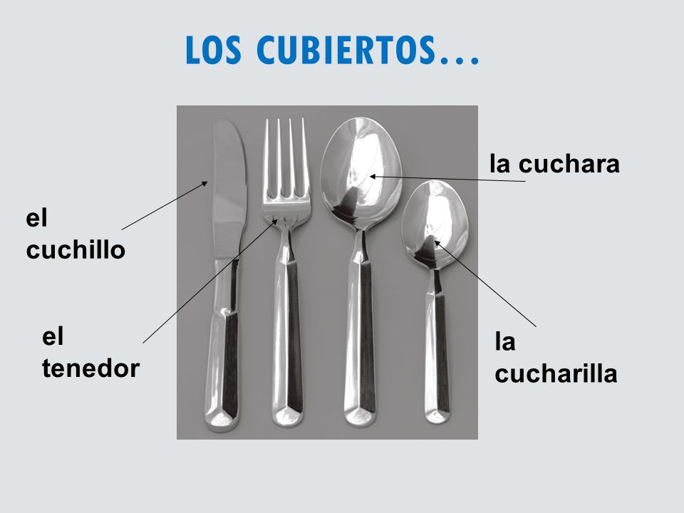 los cubiertos… la cuchara el cuchillo el tenedor la cucharilla