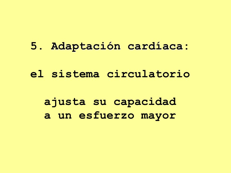 5. Adaptación cardíaca: el sistema circulatorio ajusta su capacidad a un esfuerzo mayor