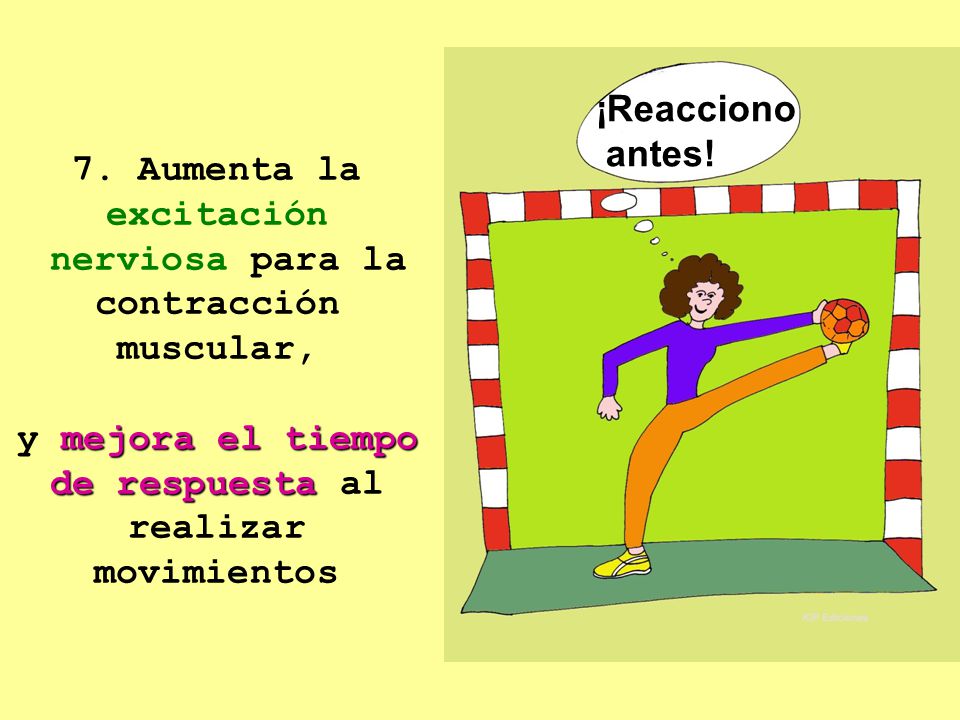 7. Aumenta la excitación nerviosa para la contracción muscular, y mejora el tiempo de respuesta al realizar movimientos