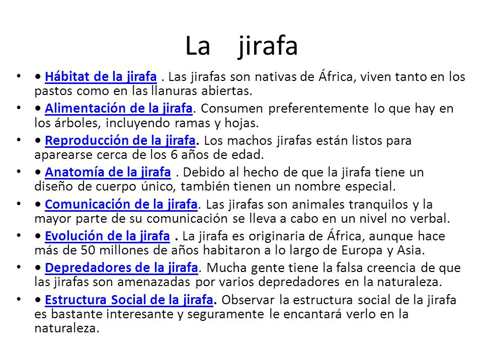 La jirafa • Hábitat de la jirafa . Las jirafas son nativas de África, viven tanto en los pastos como en las llanuras abiertas.