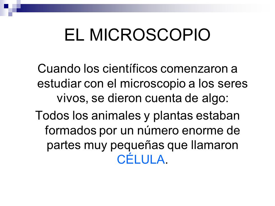 EL MICROSCOPIO Cuando los científicos comenzaron a estudiar con el microscopio a los seres vivos, se dieron cuenta de algo: