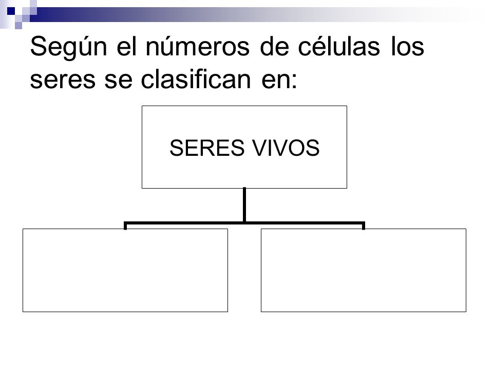 Según el números de células los seres se clasifican en: