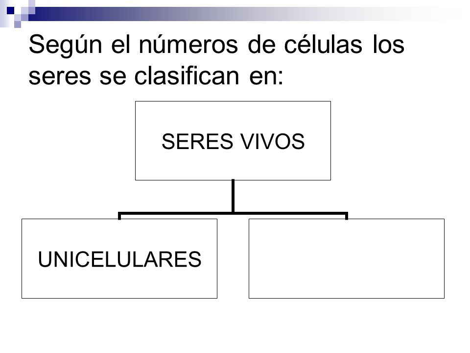 Según el números de células los seres se clasifican en: