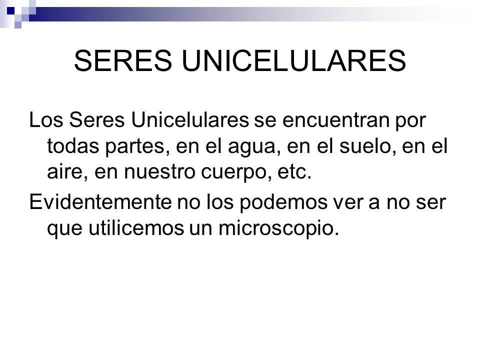 SERES UNICELULARES Los Seres Unicelulares se encuentran por todas partes, en el agua, en el suelo, en el aire, en nuestro cuerpo, etc.