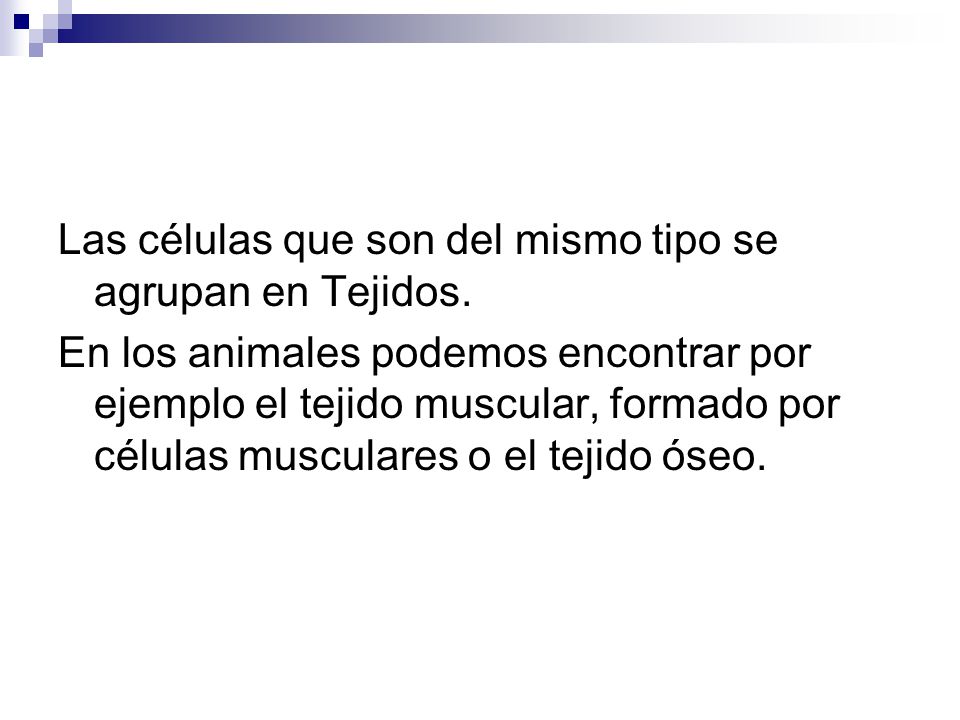 Las células que son del mismo tipo se agrupan en Tejidos.