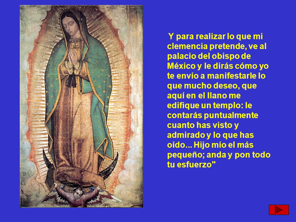Y para realizar lo que mi clemencia pretende, ve al palacio del obispo de México y le dirás cómo yo te envío a manifestarle lo que mucho deseo, que aquí en el llano me edifique un templo: le contarás puntualmente cuanto has visto y admirado y lo que has oído...