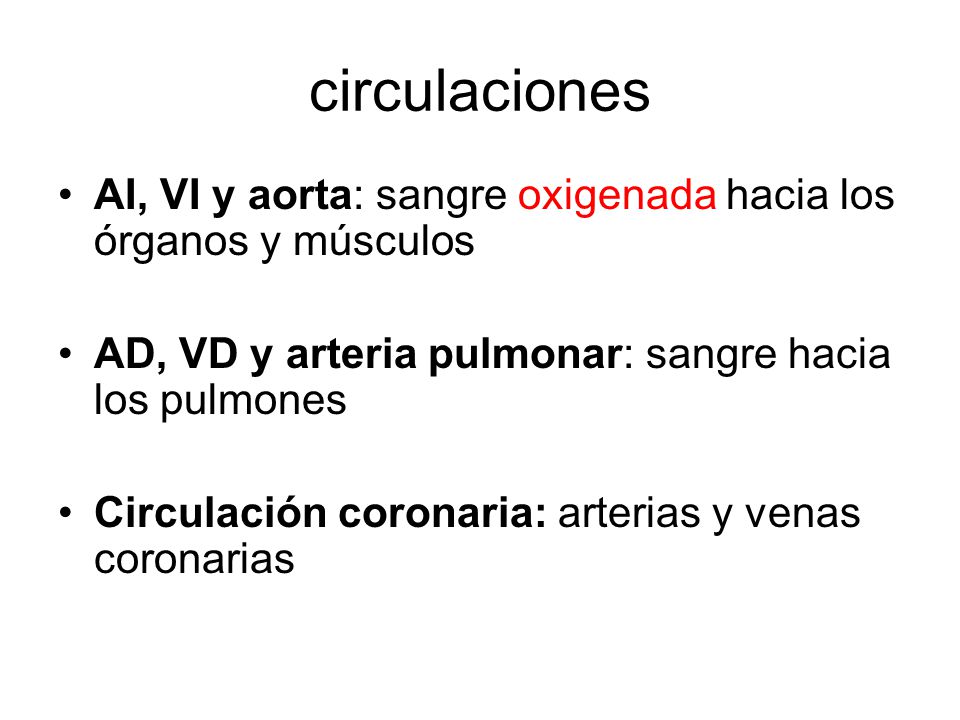 circulaciones AI, VI y aorta: sangre oxigenada hacia los órganos y músculos. AD, VD y arteria pulmonar: sangre hacia los pulmones.