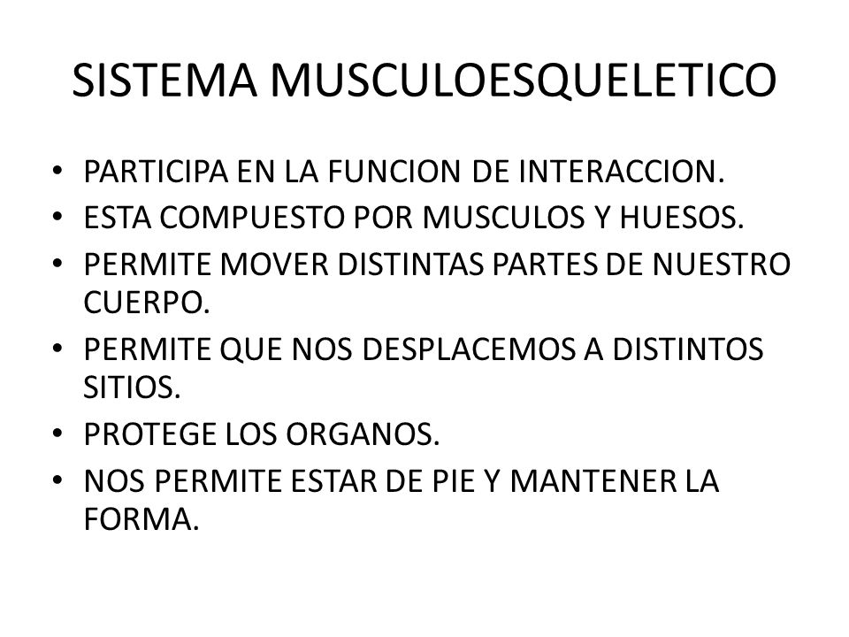 SISTEMA MUSCULOESQUELETICO