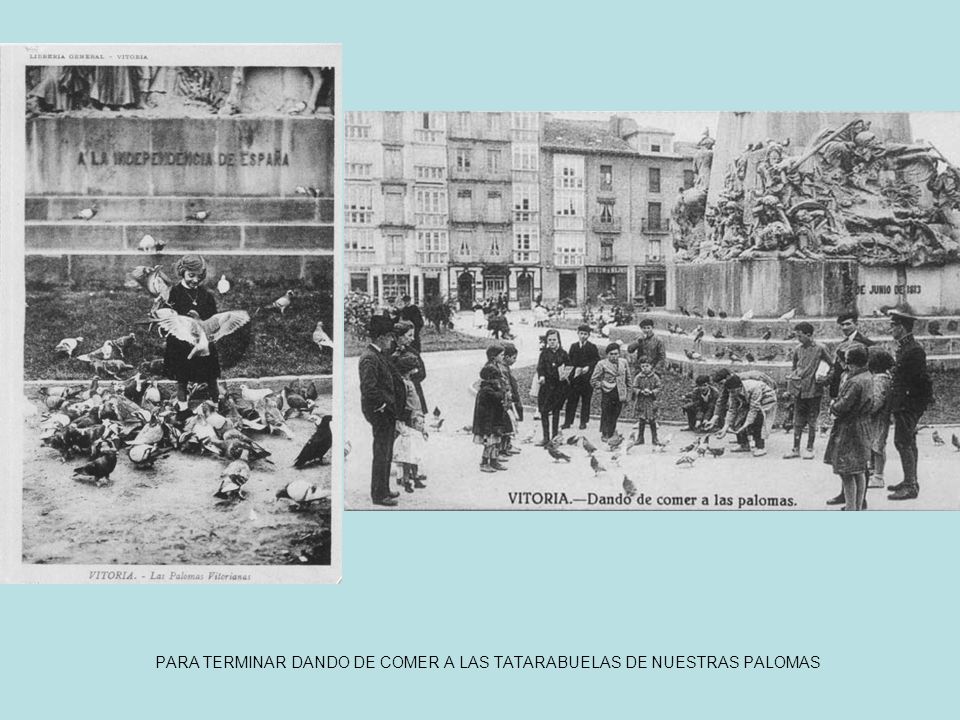 PARA TERMINAR DANDO DE COMER A LAS TATARABUELAS DE NUESTRAS PALOMAS