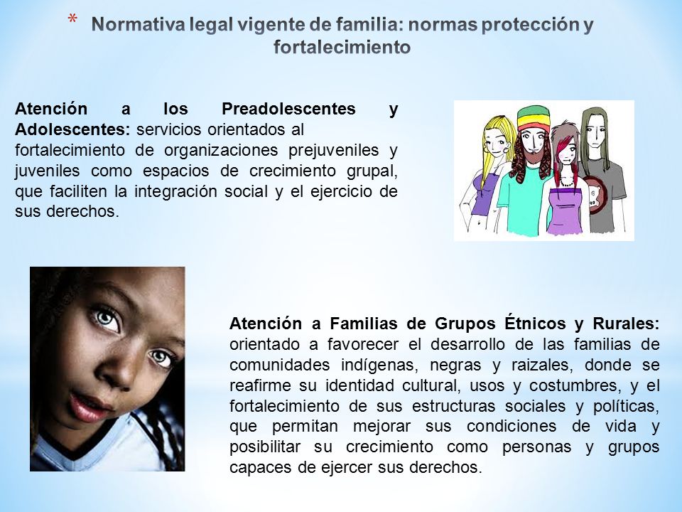 Normativa legal vigente de familia: normas protección y fortalecimiento