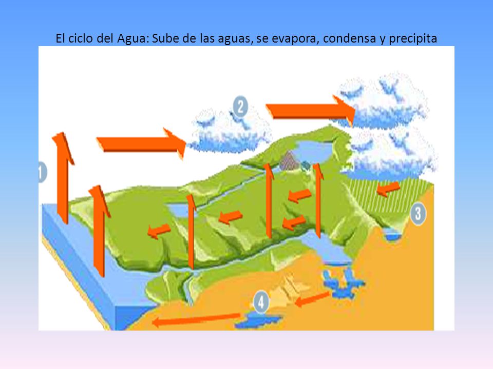 El ciclo del Agua: Sube de las aguas, se evapora, condensa y precipita