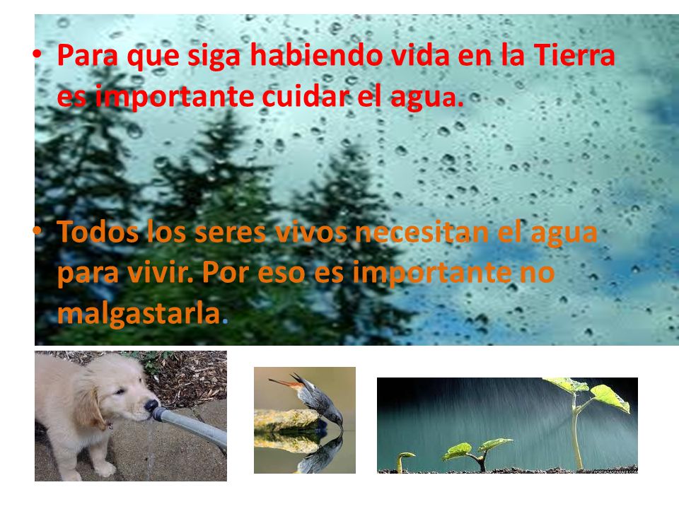 Para que siga habiendo vida en la Tierra es importante cuidar el agua.