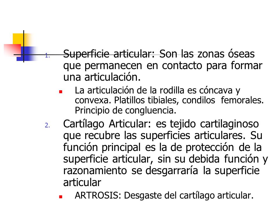Superficie articular: Son las zonas óseas que permanecen en contacto para formar una articulación.