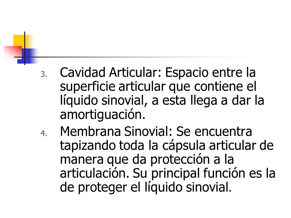 Cavidad Articular: Espacio entre la superficie articular que contiene el líquido sinovial, a esta llega a dar la amortiguación.