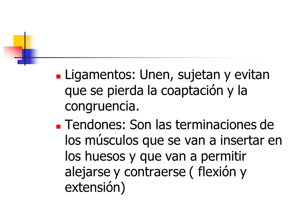 Ligamentos: Unen, sujetan y evitan que se pierda la coaptación y la congruencia.