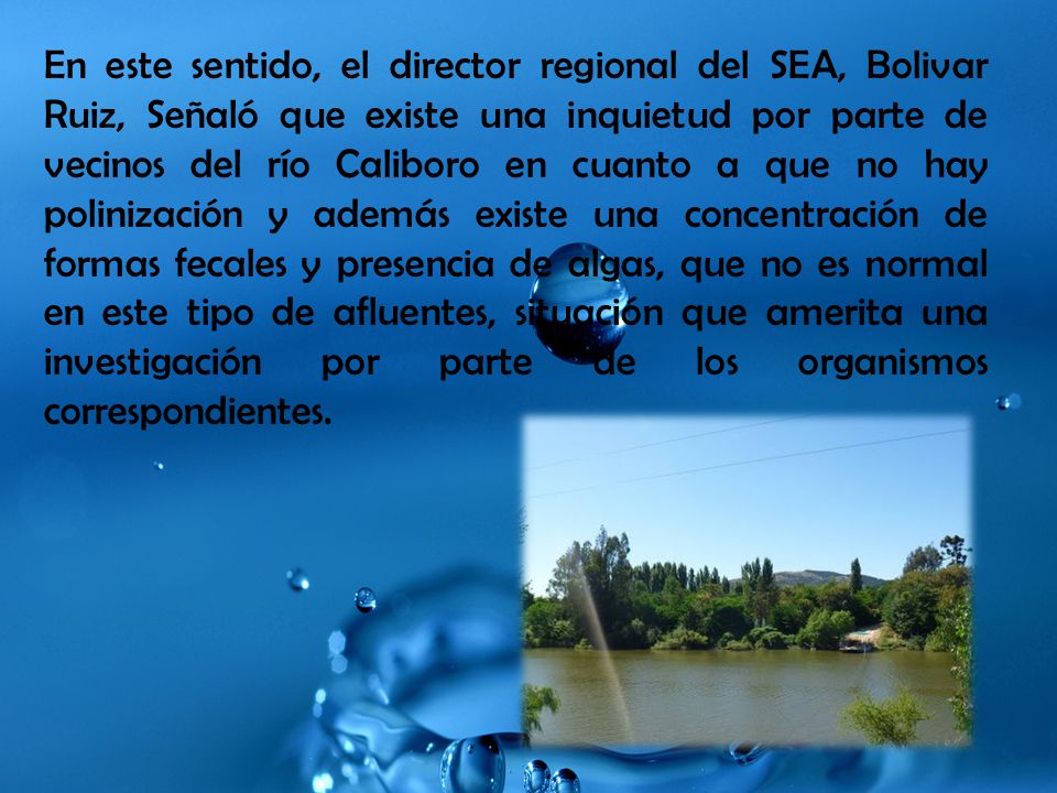 En este sentido, el director regional del SEA, Bolivar Ruiz, Señaló que existe una inquietud por parte de vecinos del río Caliboro en cuanto a que no hay polinización y además existe una concentración de formas fecales y presencia de algas, que no es normal en este tipo de afluentes, situación que amerita una investigación por parte de los organismos correspondientes.