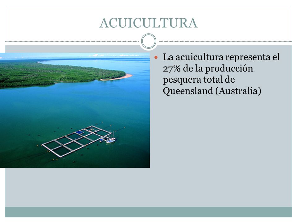 ACUICULTURA La acuicultura representa el 27% de la producción pesquera total de Queensland (Australia)