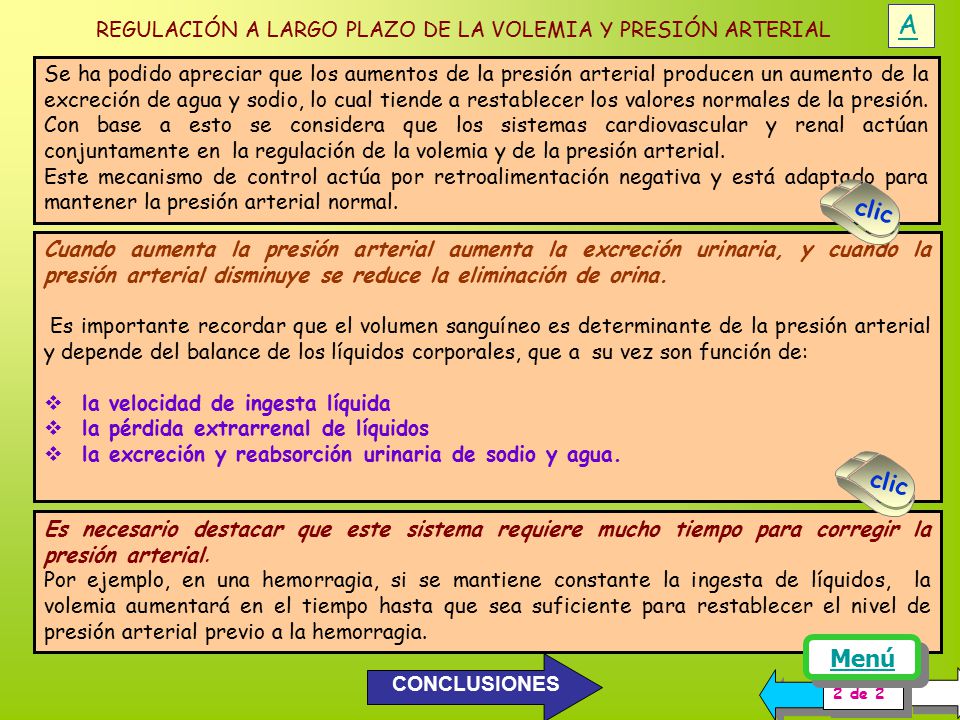 A REGULACIÓN A LARGO PLAZO DE LA VOLEMIA Y PRESIÓN ARTERIAL.
