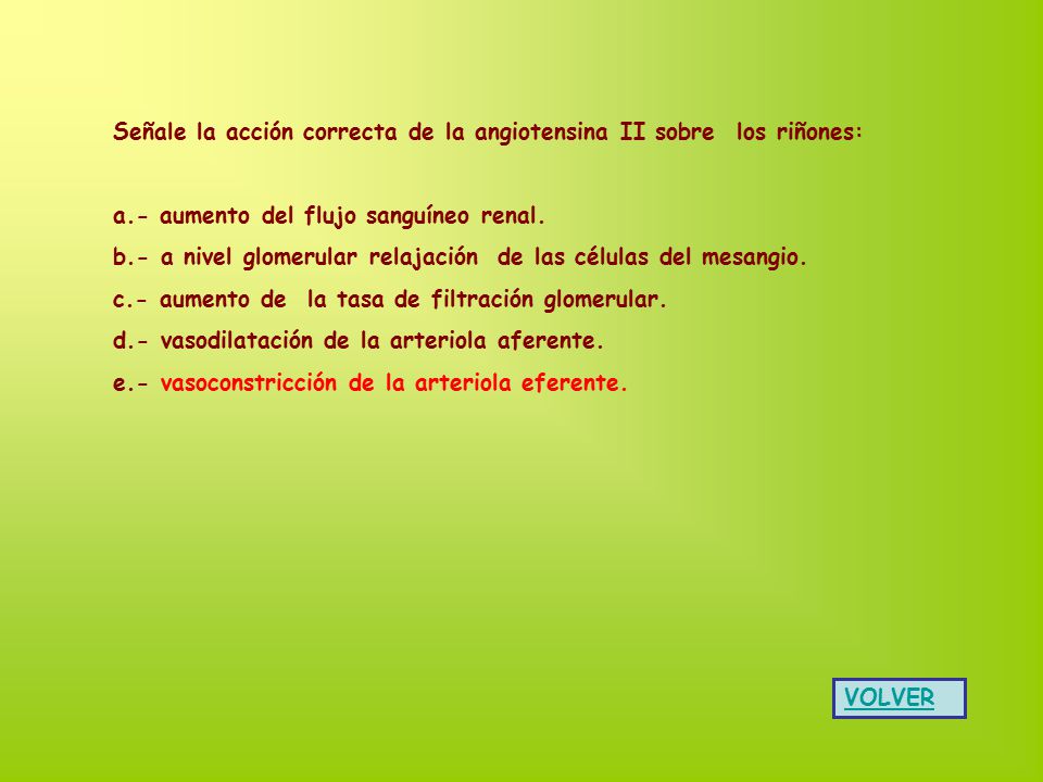 Señale la acción correcta de la angiotensina II sobre los riñones: