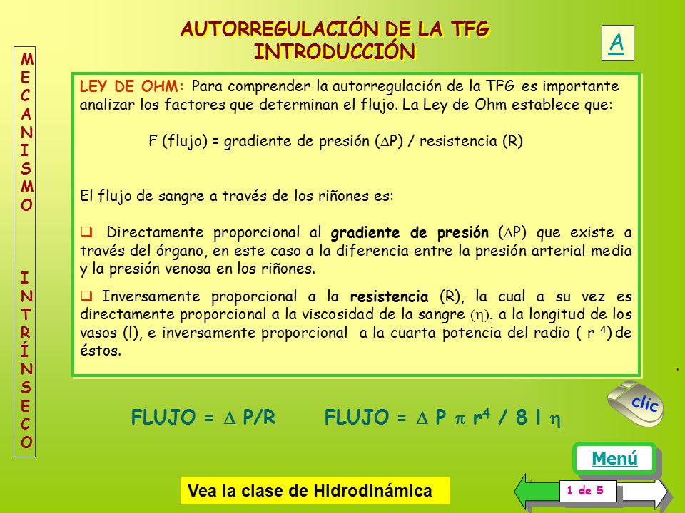 AUTORREGULACIÓN DE LA TFG FLUJO =  P/R FLUJO =  P p r4 / 8 l h