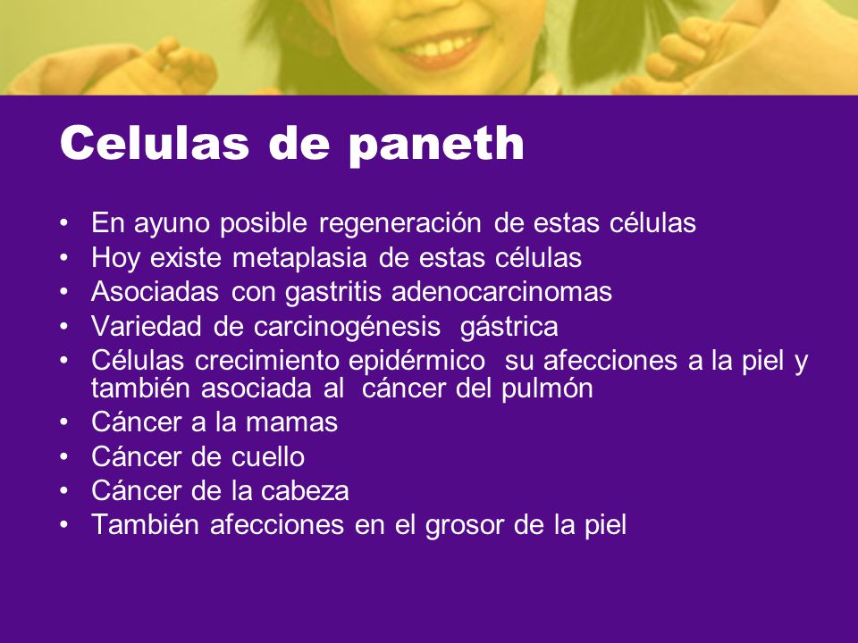 Celulas de paneth En ayuno posible regeneración de estas células