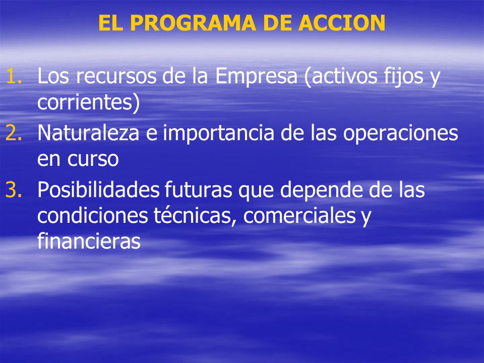 EL PROGRAMA DE ACCION Los recursos de la Empresa (activos fijos y corrientes) Naturaleza e importancia de las operaciones en curso.