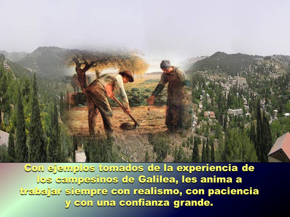 Con ejemplos tomados de la experiencia de los campesinos de Galilea, les anima a trabajar siempre con realismo, con paciencia y con una confianza grande.