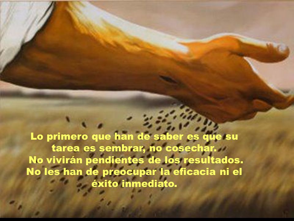 Lo primero que han de saber es que su tarea es sembrar, no cosechar.