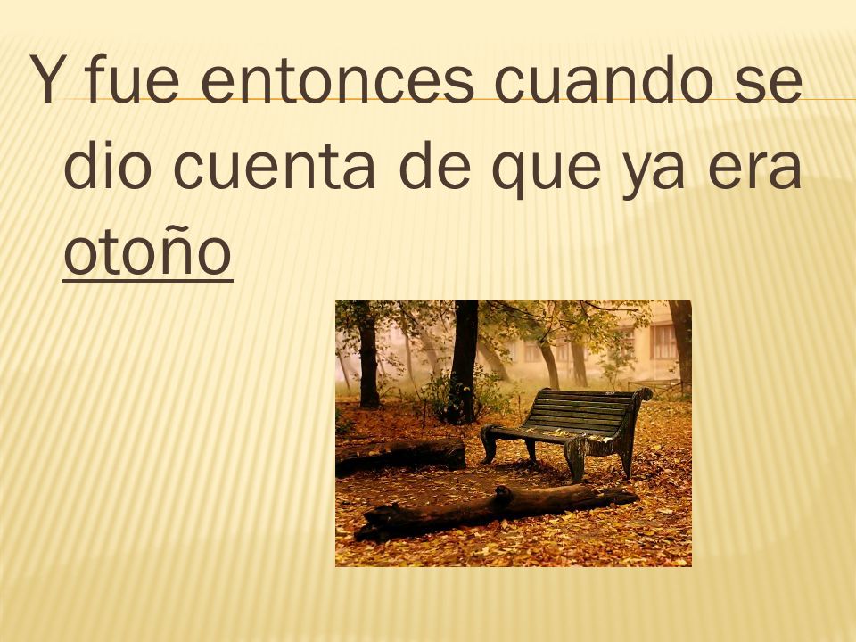 Y fue entonces cuando se dio cuenta de que ya era otoño
