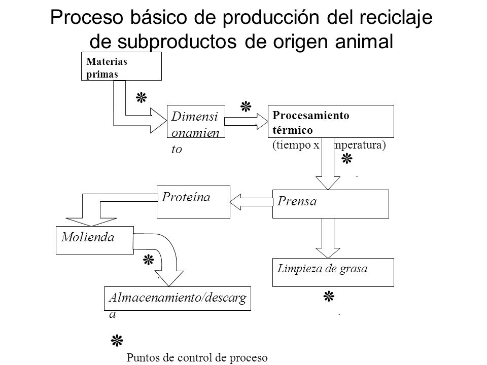Proceso básico de producción del reciclaje de subproductos de origen animal