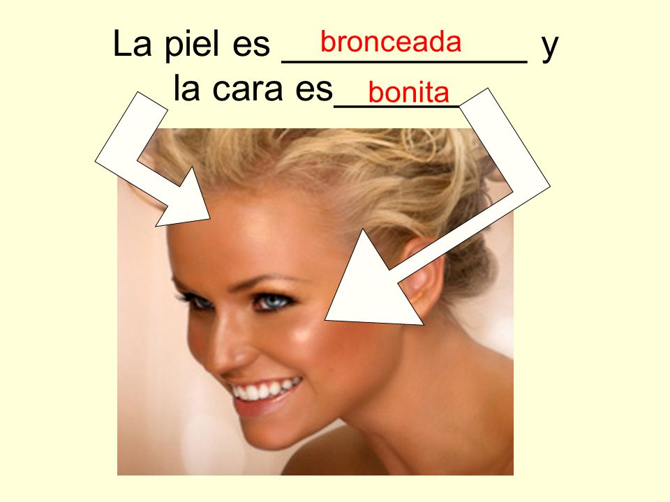 La piel es ____________ y la cara es________