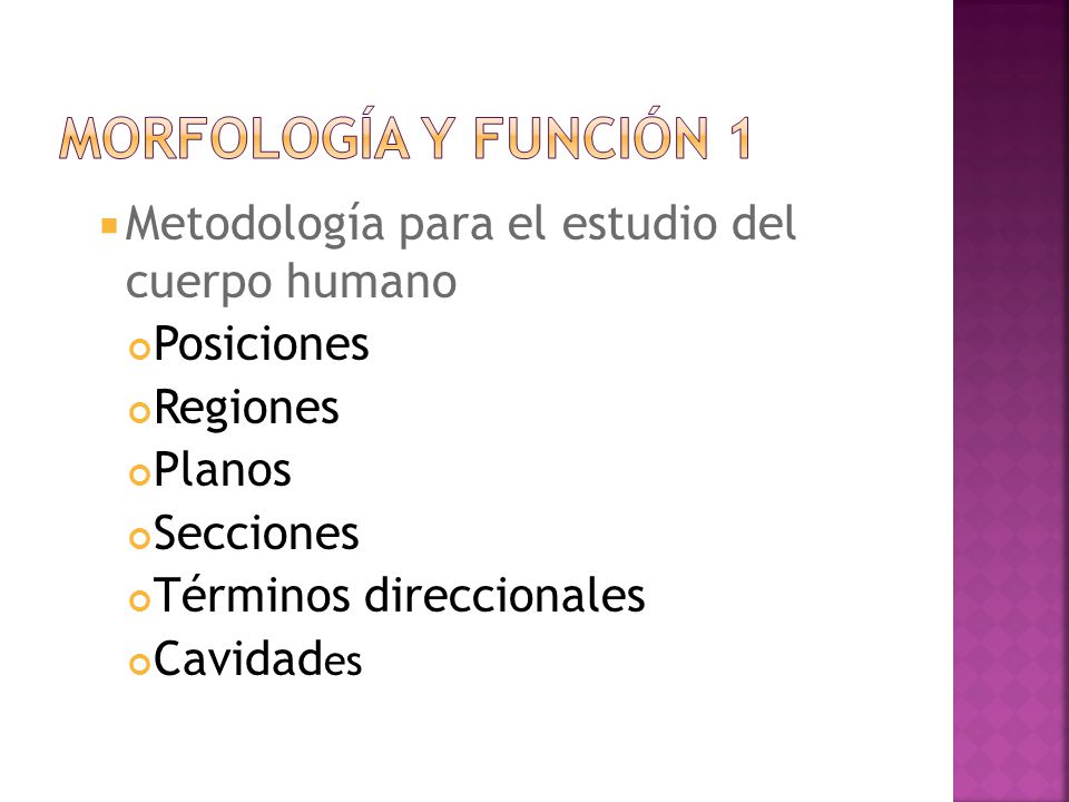Morfología y función 1 Metodología para el estudio del cuerpo humano