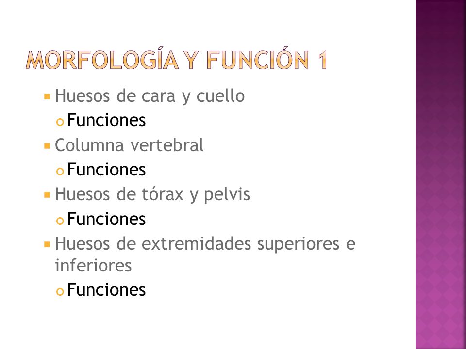 Morfología y función 1 Huesos de cara y cuello Funciones