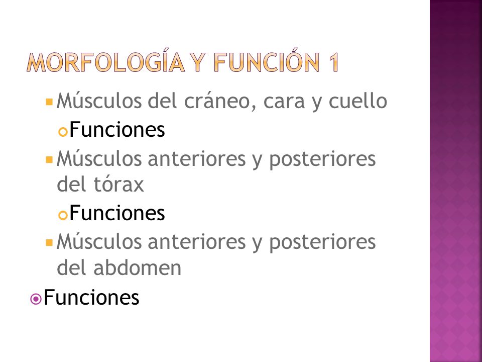 Morfología y función 1 Músculos del cráneo, cara y cuello Funciones